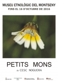 Petits Mons 